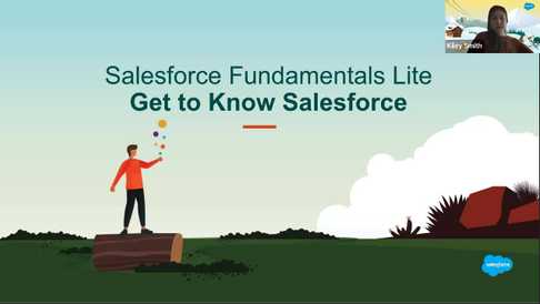 Salesforce Fundamentals Lite
